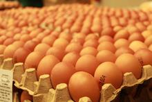 Gestores de los comedores comunitarios reciben cada 10 d&iacute;as insumos de calidad para garantizar su funcionamiento