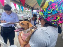 Con &eacute;xito se desarroll&oacute; el Festival de la Inclusi&oacute;n y Territorios Seguros en el barrio San Pascual