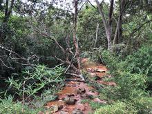 Alcald&iacute;a de Cali reactiva obras de mitigaci&oacute;n del riesgo en la&nbsp;PTAR de  La Buitrera