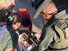 En operativo contra la comercializaci&oacute;n y tr&aacute;fico de fauna y flora silvestre, Dagma y Polic&iacute;a Ambiental incautan carne de armadillo