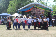 El Petronio, presente en las instituciones etnoeducativas oficiales