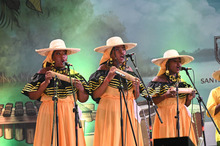 Así vive Cali el Petronio 2024.