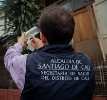 &iexcl;La lucha contra el dengue no se detiene! Con liberaciones de mosquitos avanza en Cali la IV fase de la estrategia Wolbachia 