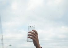 &iexcl;La lucha contra el dengue no se detiene! Con liberaciones de mosquitos avanza en Cali la IV fase de la estrategia Wolbachia 