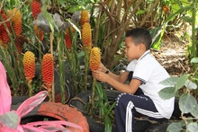 La Habuescuela: una experiencia que conjuga los saberes ancestrales y el amor por la  naturaleza