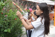 La Habuescuela: una experiencia que conjuga los saberes ancestrales y el amor por la  naturaleza