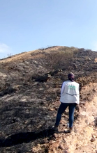 Incendio en Batacl&aacute;n caus&oacute; la p&eacute;rdida de m&aacute;s de siete hect&aacute;reas&nbsp;de cobertura vegetal y el desplazamiento de fauna silvestre: Dagma