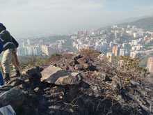 Incendio en Batacl&aacute;n caus&oacute; la p&eacute;rdida de m&aacute;s de siete hect&aacute;reas&nbsp;de cobertura vegetal y el desplazamiento de fauna silvestre: Dagma