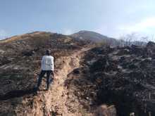 Incendio en Batacl&aacute;n caus&oacute; la p&eacute;rdida de m&aacute;s de siete hect&aacute;reas&nbsp;de cobertura vegetal y el desplazamiento de fauna silvestre: Dagma