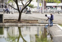 Contin&uacute;an labores de mantenimiento en las fuentes ornamentales  de Cali 