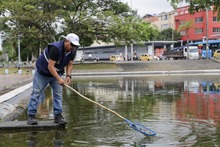 Contin&uacute;an labores de mantenimiento en las fuentes ornamentales  de Cali 