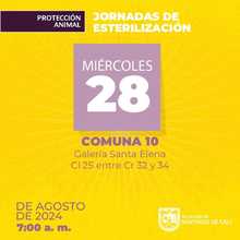 Jornadas de esterilizaci&oacute;n Comuna 10 &ndash; Galer&iacute;a Santa Elena Cl 25 entre Cr 32 y 34 