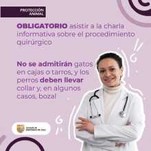 Del 27 al 31 de agosto, participa en las jornadas de esterilizaci&oacute;n de mascotas  