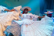 IUIPC: impulsando la diversidad en la educaci&oacute;n, la cultura y las artes populares