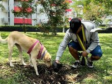 La tenencia responsable de mascotas es tambi&eacute;n cultura ciudadana