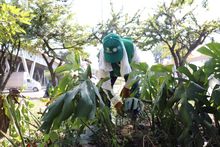  Seguimos transformando a Cali: el puente de la carrera 1 con calle 70 luce como nuevo