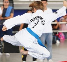 Copa Nacional de Taekwondo 2024 1