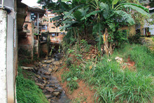 Cali es ejemplo global en sostenibilidad: proyecto de recuperaci&oacute;n de h&aacute;bitat en la Comuna 20 gan&oacute; un reconocimiento internacional