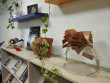 A trav&eacute;s de Bibliotecas Escolares, Cali construye espacios clave para fomentar la lectura y el aprendizaje de los estudiantes