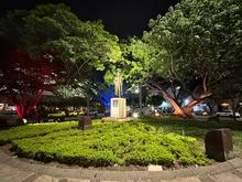 &iexcl;El apoyo de Cali a la selecci&oacute;n Colombia Femenina Sub-20 es total! Nueve hitos de la ciudad est&aacute;n iluminados con la bandera tricolor