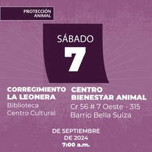 Protecci&oacute;n Animal de Cali anuncia la semana de esterilizaci&oacute;n masiva: todos los d&iacute;as, del 3 al 7 de septiembre, se realizar&aacute;n dos jornadas simult&aacute;neas