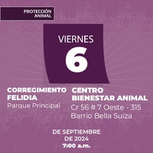 Protecci&oacute;n Animal de Cali anuncia la semana de esterilizaci&oacute;n masiva: todos los d&iacute;as, del 3 al 7 de septiembre, se realizar&aacute;n dos jornadas simult&aacute;neas