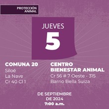 Protecci&oacute;n Animal de Cali anuncia la semana de esterilizaci&oacute;n masiva: todos los d&iacute;as, del 3 al 7 de septiembre, se realizar&aacute;n dos jornadas simult&aacute;neas