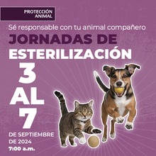 Protecci&oacute;n Animal de Cali anuncia la semana de esterilizaci&oacute;n masiva: todos los d&iacute;as, del 3 al 7 de septiembre, se realizar&aacute;n dos jornadas simult&aacute;neas