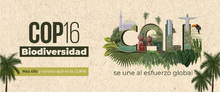 cop16