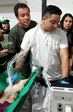 Dagma fortalece alianzas estrat&eacute;gicas con autoridades ambientales  regionales para atender y proteger la fauna silvestre