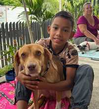 &iexcl;Jornadas de Esterilizaci&oacute;n Gratuitas en Cali! 