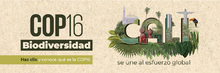 Cali Esfuerzo Global COP16
