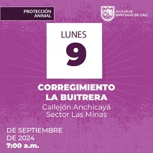 Jornada de esterilizaci&oacute;n 09/09/2024