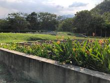 La Planta de Tratamiento de Aguas Residuales de La Vor&aacute;gine cumple con altos est&aacute;ndares y no contamina el r&iacute;o Pance: Uaesp