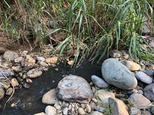 La Planta de Tratamiento de Aguas Residuales de La Vor&aacute;gine cumple con altos est&aacute;ndares y no contamina el r&iacute;o Pance: Uaesp