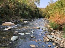 La Planta de Tratamiento de Aguas Residuales de La Vor&aacute;gine cumple con altos est&aacute;ndares y no contamina el r&iacute;o Pance: Uaesp