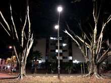 Cali ilumina su futuro: 11.000 nuevas luminarias led son muestra de seguridad y progreso