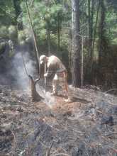 Dagma inici&oacute; labores para recuperar &aacute;reas afectadas por los incendios  forestales en Los Andes