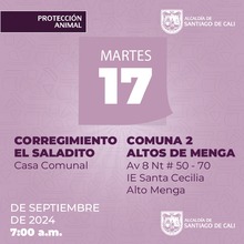 Jornadas de esterilizaci&oacute;n gratuita en Santiago de Cali contin&uacute;an esta semana en diferentes comunas