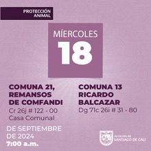 Jornadas de esterilizaci&oacute;n gratuita en Santiago de Cali contin&uacute;an esta semana en diferentes comunas