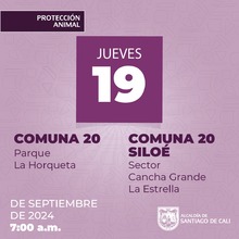 Jornadas de esterilizaci&oacute;n gratuita en Santiago de Cali contin&uacute;an esta semana en diferentes comunas