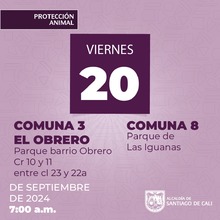 Jornadas de esterilizaci&oacute;n gratuita en Santiago de Cali contin&uacute;an esta semana en diferentes comunas