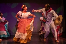 La Instituci&oacute;n Universitaria de las Culturas y las Artes Populares IPC lanza la  convocatoria Siembra 2024