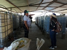 Cali lidera la educaci&oacute;n ambiental con rutas ecotur&iacute;sticas rumbo a la COP16