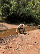 Autoridades y comunidad protegen los Farallones de Cali como un  santuario natural