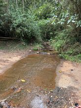 Autoridades y comunidad protegen los Farallones de Cali como un  santuario natural
