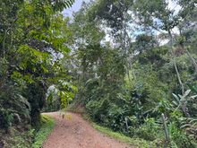 Autoridades y comunidad protegen los Farallones de Cali como un  santuario natural