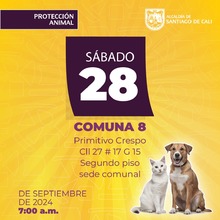 Protecci&oacute;n Animal anuncia semana de esterilizaciones gratuitas en Cali