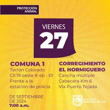 Protecci&oacute;n Animal anuncia semana de esterilizaciones gratuitas en Cali