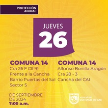 Protecci&oacute;n Animal anuncia semana de esterilizaciones gratuitas en Cali